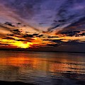 Charleston Gold