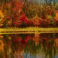 Reflections