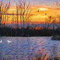 Peaceful Calm
